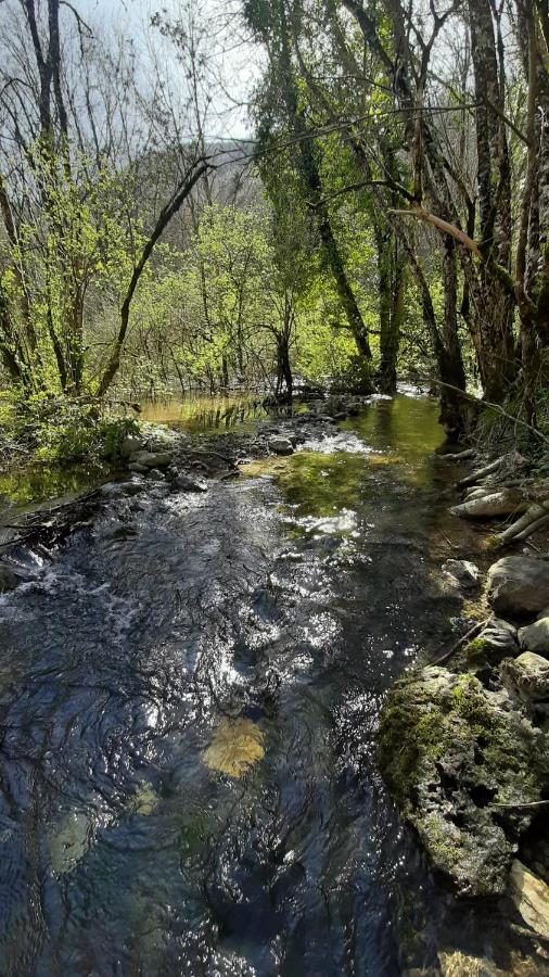 Petite Maison De Village Situee Entre Lacs, Cascades Et Montagnes Virieu-le-Grand 외부 사진